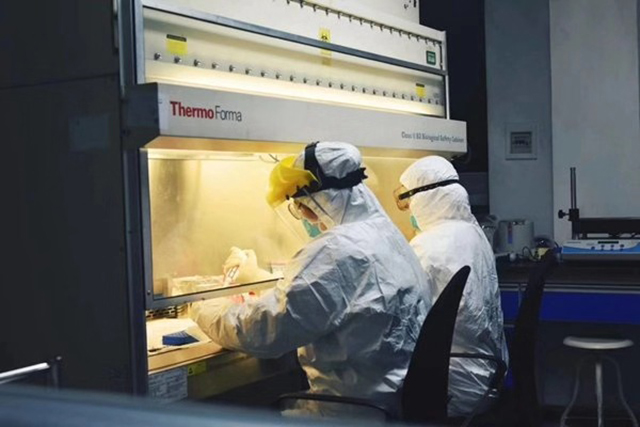 1580260441fd7df407a5254c46.jpg 1580260441fd7df407a5254c46.jpg